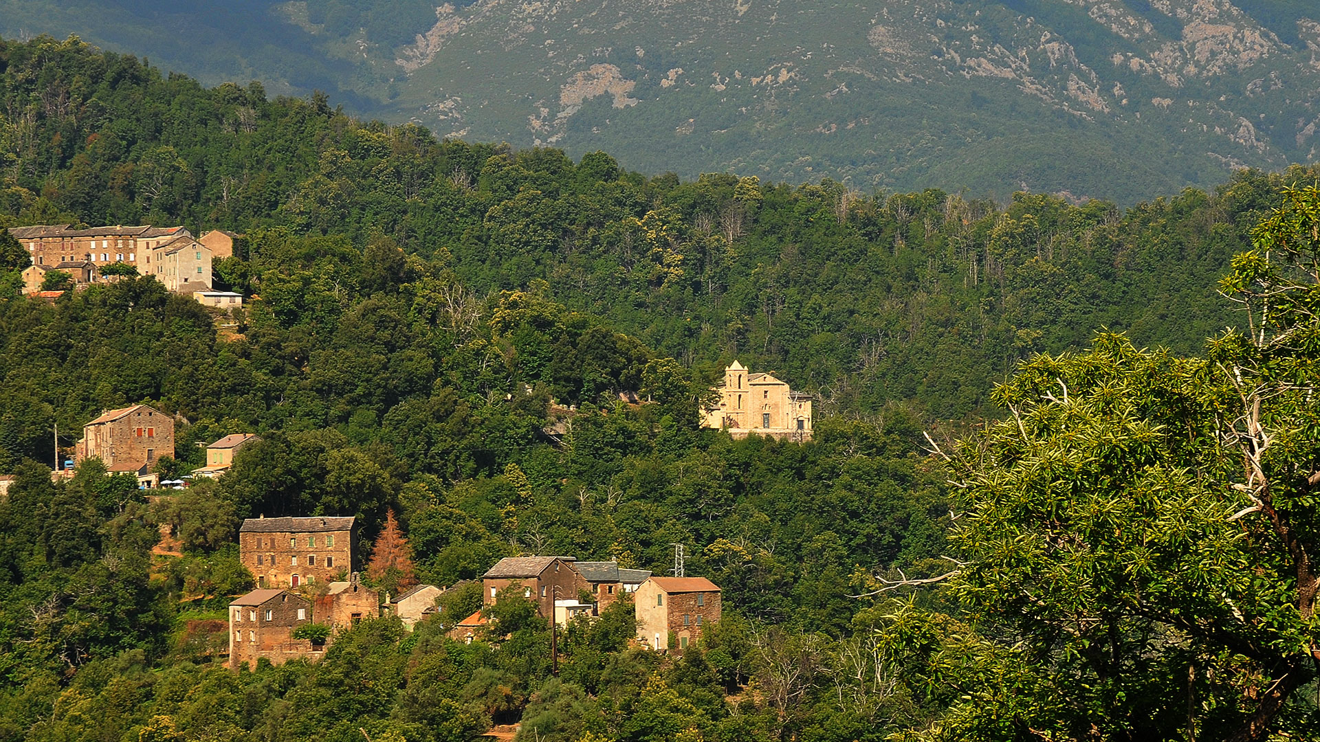 castagniccia vue globale