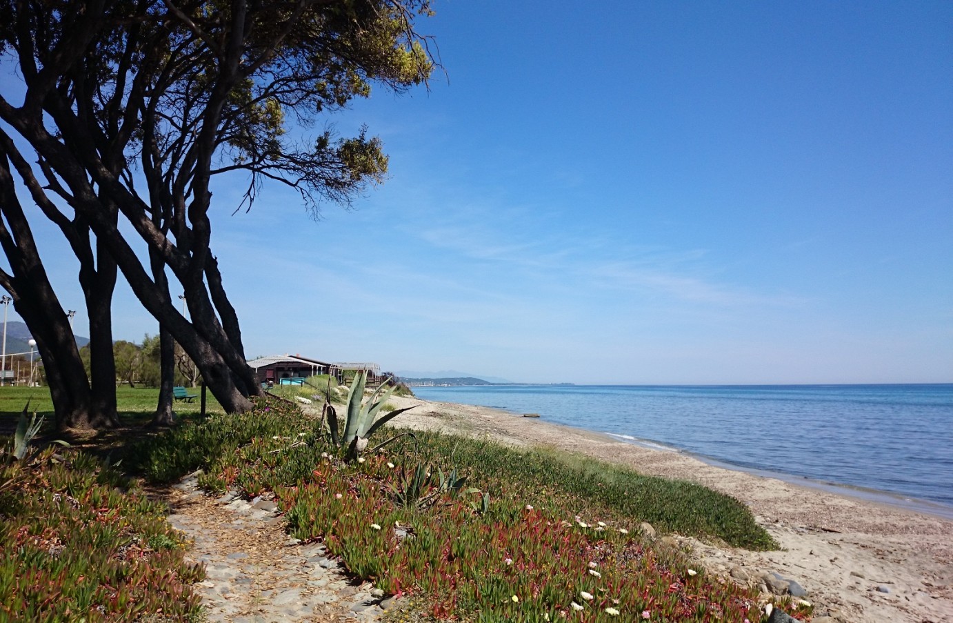 lappollu plage prunete