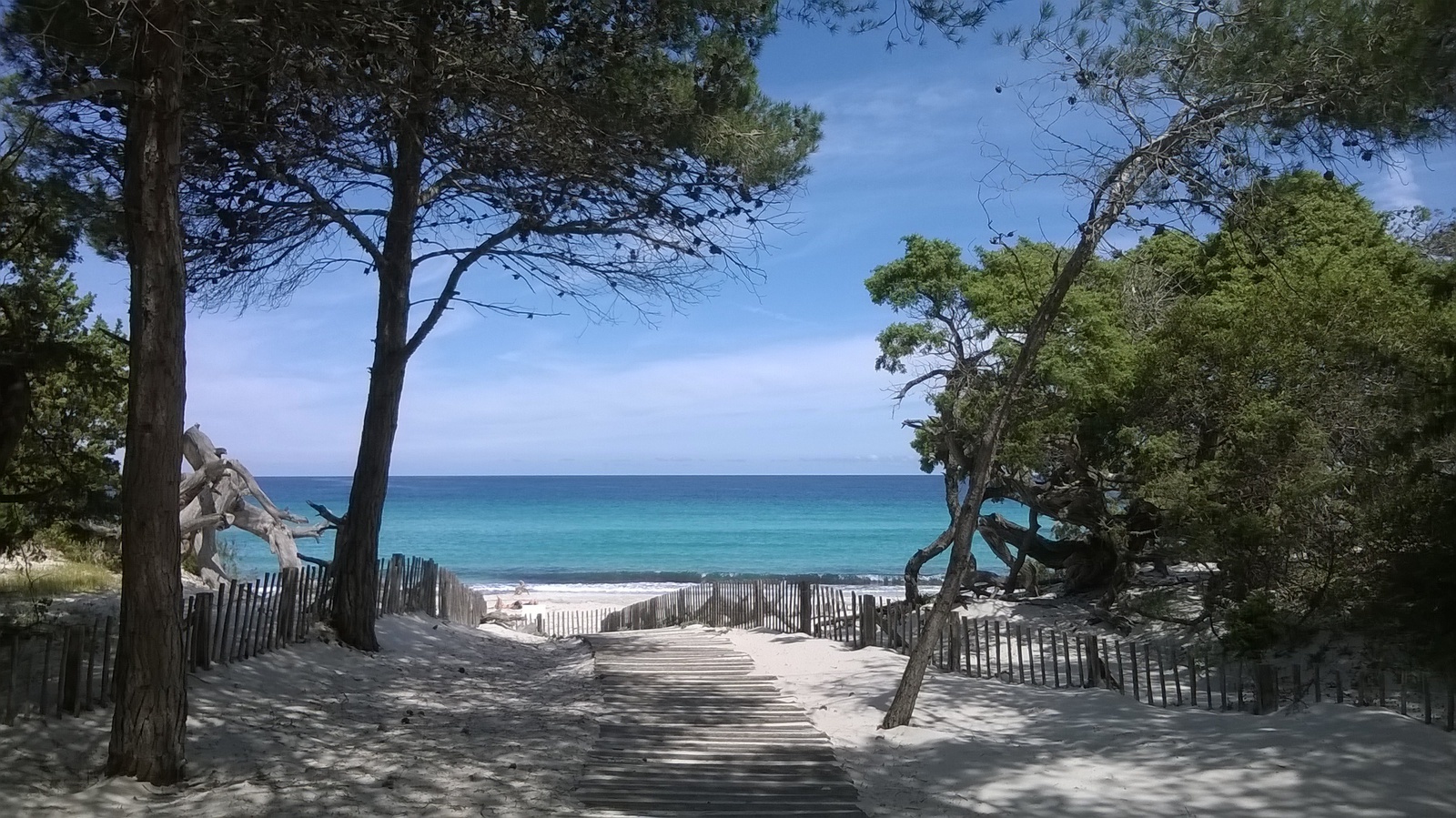 lappollu plage saleccia